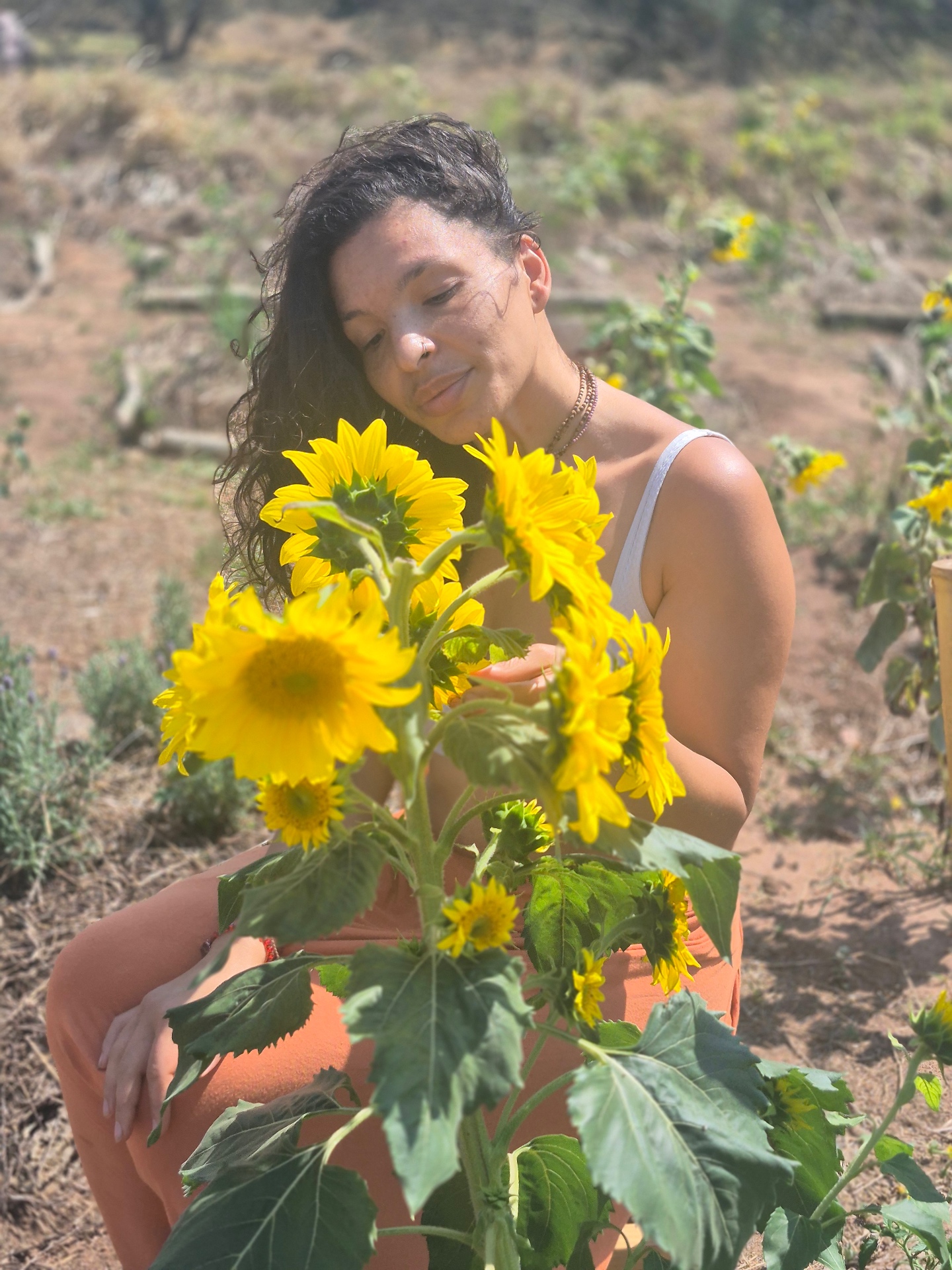 Laura entre girassóis, em um campo ensolarado